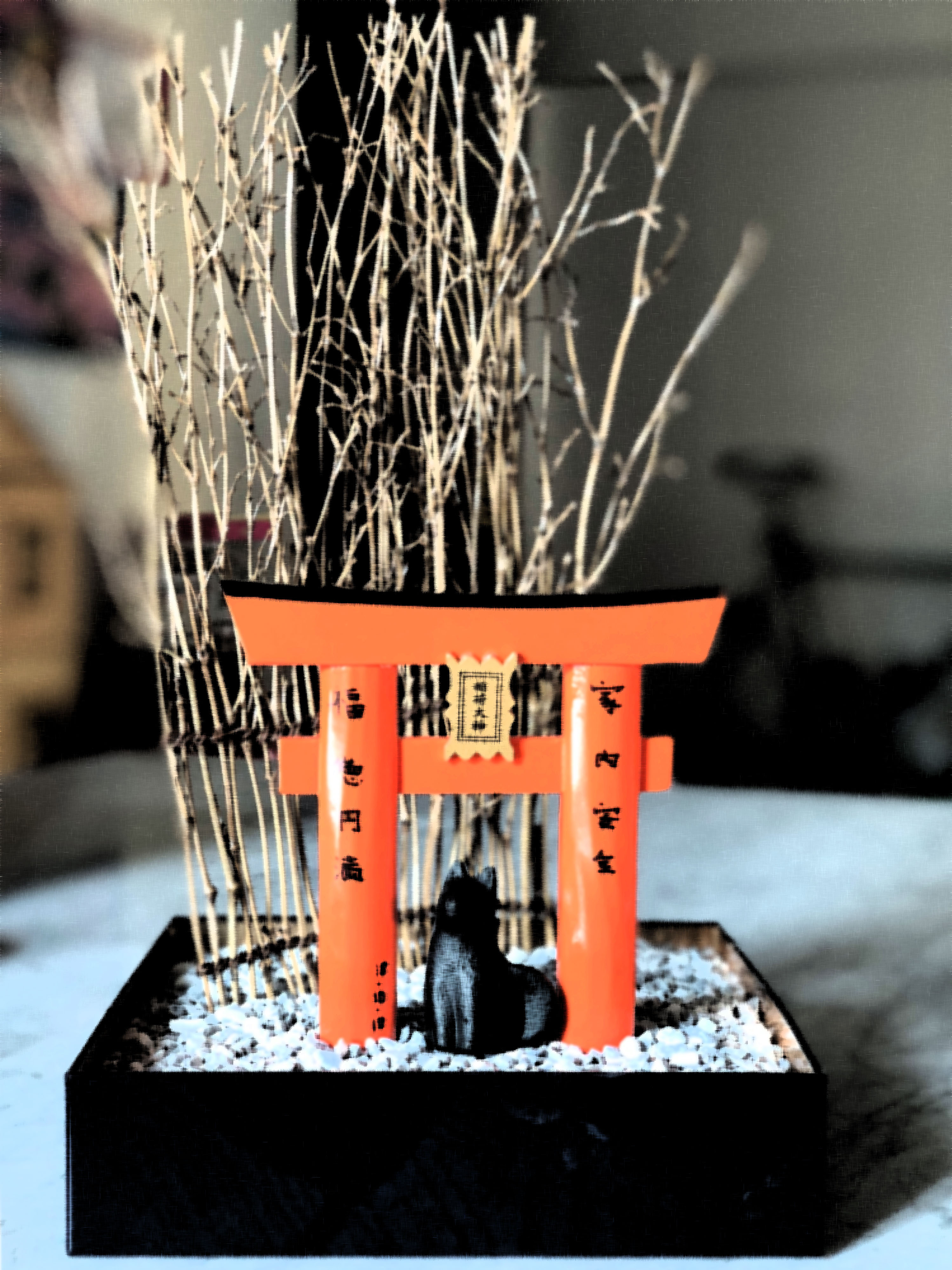 diorama diorama