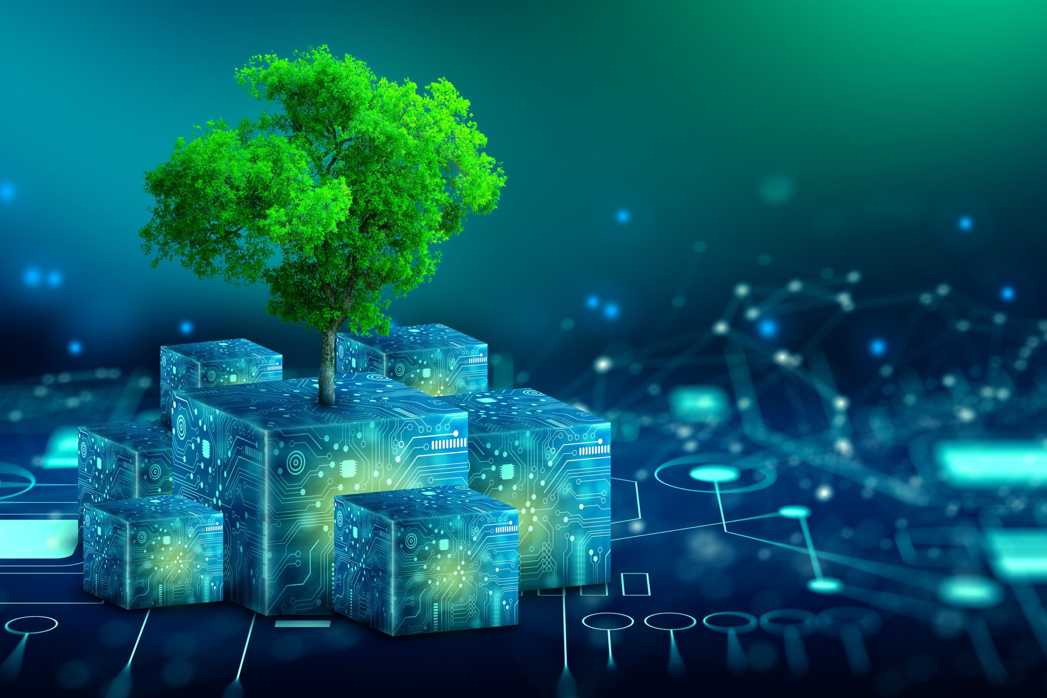 INNOVATE Aug 2024 Dsus Article INNOVATE Aug 2024 Dsus Article