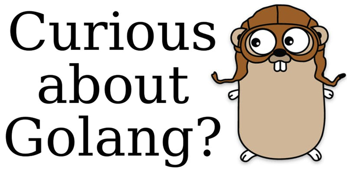 NUS-ISS StackUp Workshop: Curious about Golang?